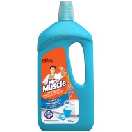 MR MUSCLE TILE CLN MOUNTAIN FRESH 750ML